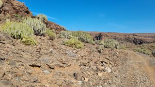 2024-02-GranCan-Playa Del Aguila-Trek-44.jpg